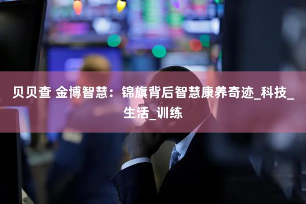 贝贝查 金博智慧：锦旗背后智慧康养奇迹_科技_生活_训练