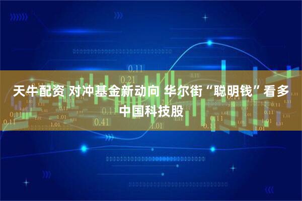 天牛配资 对冲基金新动向 华尔街“聪明钱”看多中国科技股